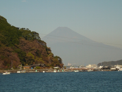 富士山と海。